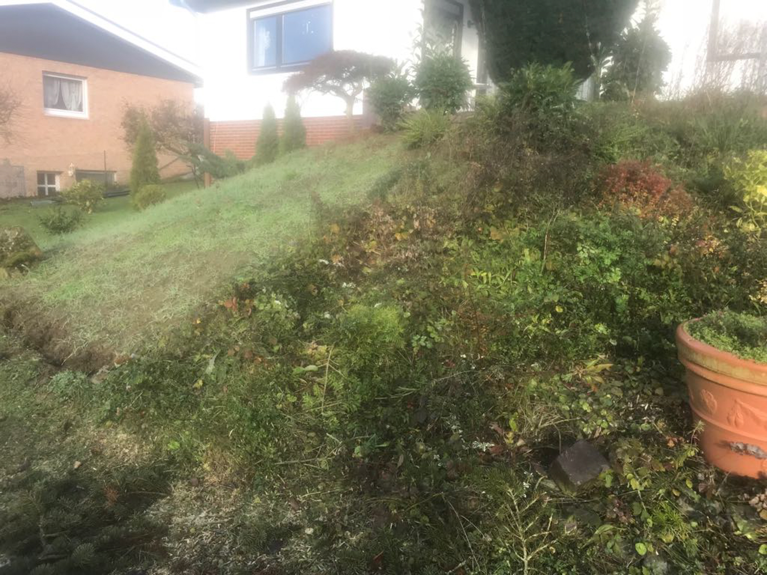 20171206_JSchneider_Bilder_0002.jpg